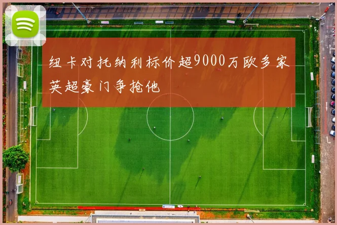 纽卡对托纳利标价超9000万欧多家英超豪门争抢他